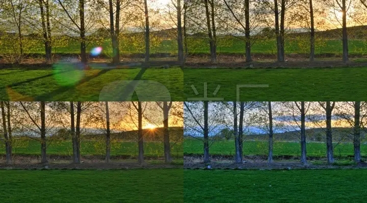 1.webp.jpg