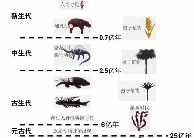 怪物合并进化，创造新生物！怪物进化游戏动态