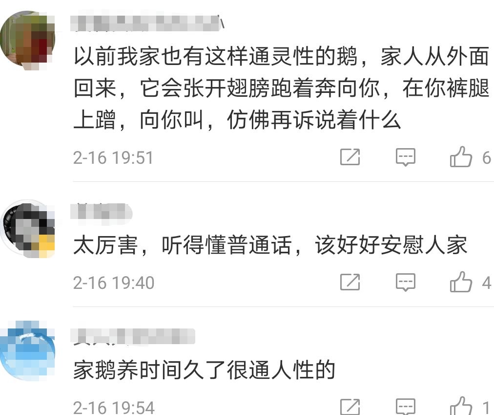 微博鹅鸭杀更新：自媒体的新挑战