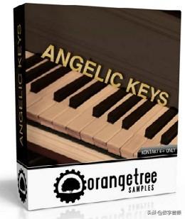 ORANGE TREE系列钢琴键盘合集