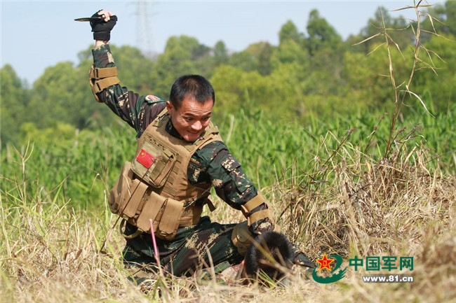 眼镜蛇特种部队游戏_金奎蛇部队_特种兵王3尖刀部队