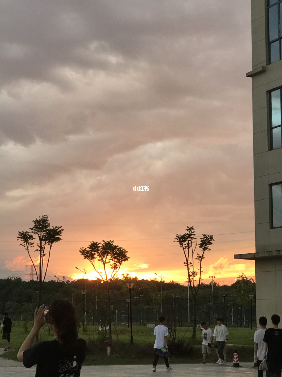 陈雨涵 厦门大学_厦门大学陈雨涵简介_厦门大学陈涵一