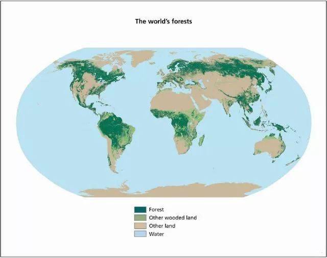 森林覆盖率怎么算_森林覆盖率最高的省份是_森林覆盖率