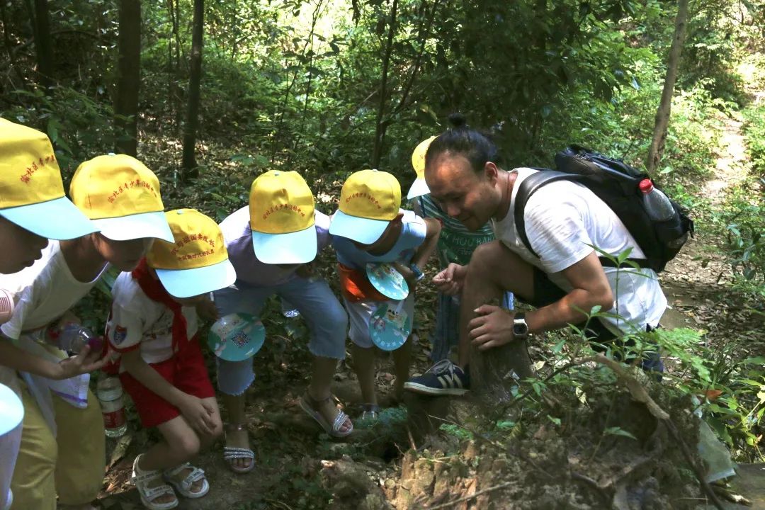 大班集体户外游戏_大班户外集体游戏活动大全_大班户外集体游戏名称及玩法