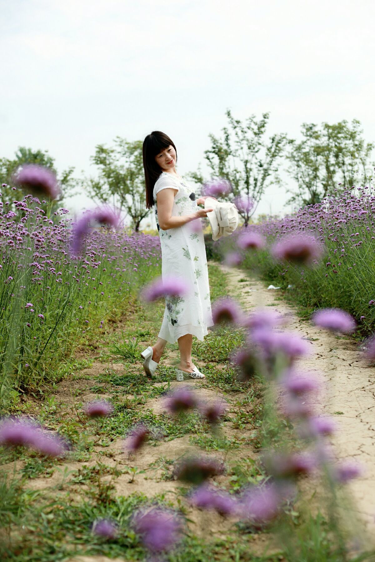 小花仙变身夏安安动画片_小花仙之安安变得冷漠_小花仙安安全部变身