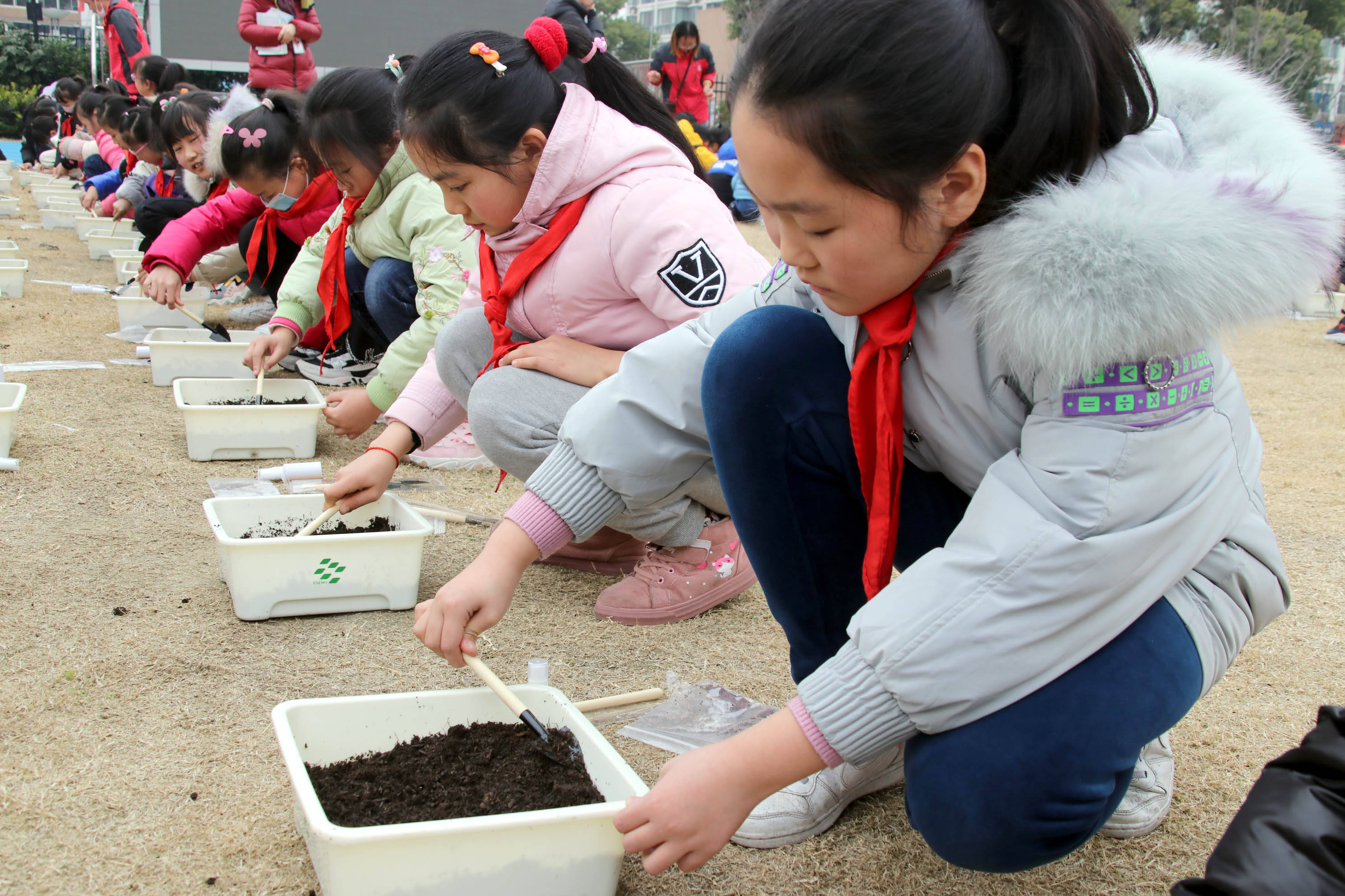 教师照片模板_女老师的图片怎么画_女教师照片