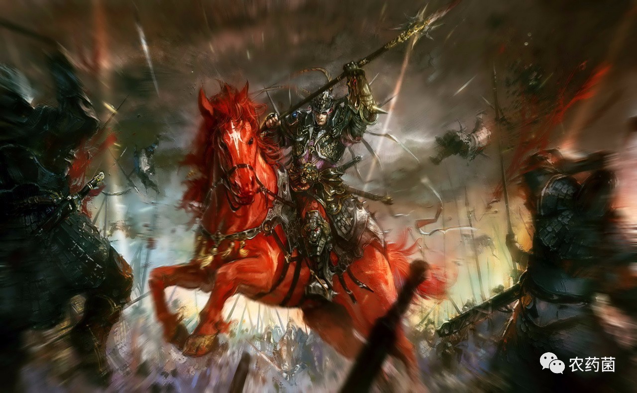 三国乱世练兵令怎么用_三国战记乱世枭雄吕布牛令怎么拿_三国乱世乱世套装