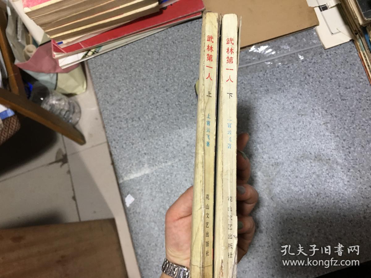 橙光游戏武林萌主的作者是_橙光武林游戏破解版_武林萌主破解