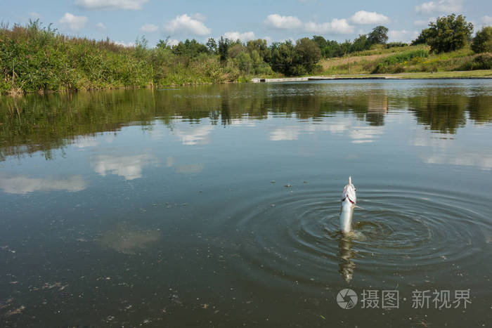 湖泊垂钓管理_湖泊垂钓_湖泊垂钓技巧