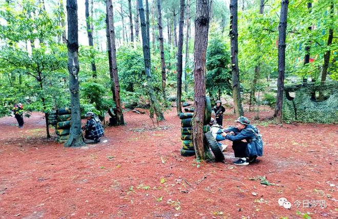 公园野战_大夫山公园烧烤场电话_大夫山森林公园野战