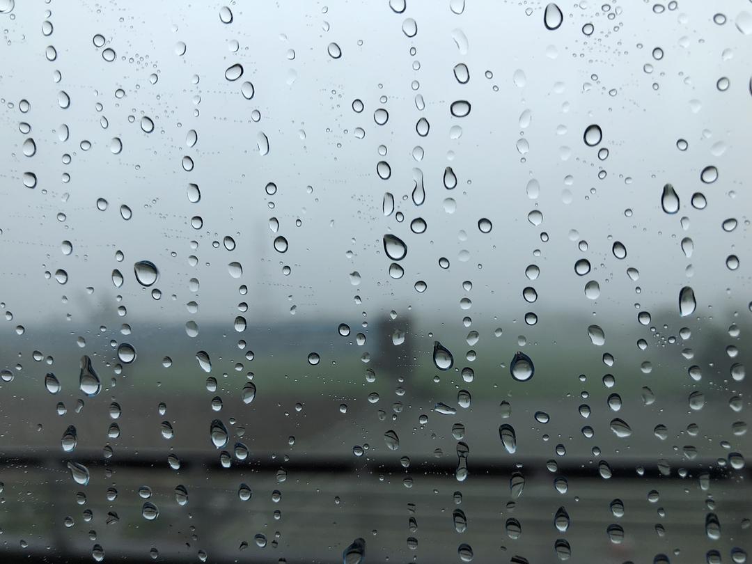 雨中冷掉_雨中冷掉简谱_雨中冷掉背后的故事