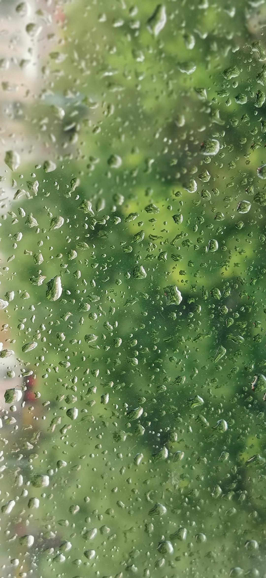 雨中冷掉简谱_雨中冷掉背后的故事_雨中冷掉