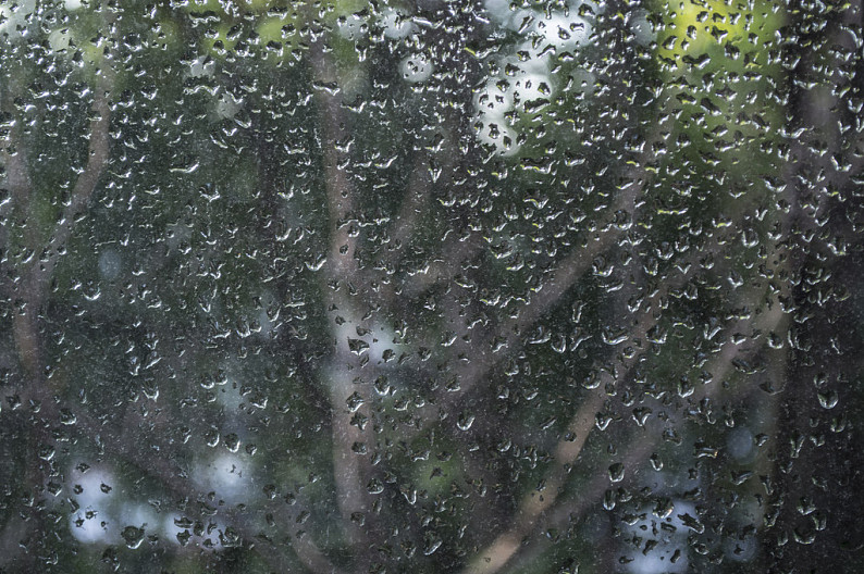 雨中冷掉简谱_雨中冷掉_雨中冷掉背后的故事