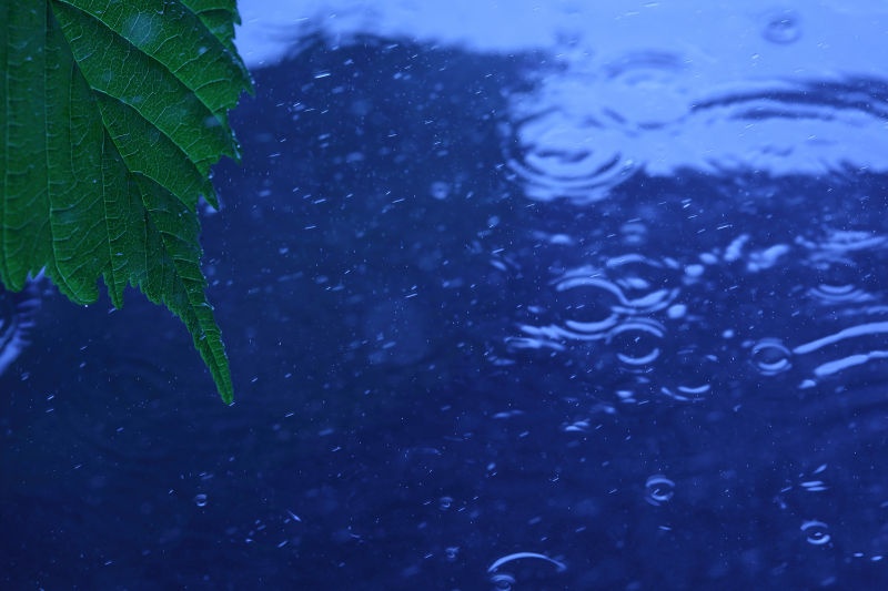 孙雨蒙和孙雨彤_雨青空之蓝txt下载_雨蓝