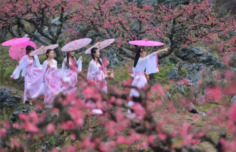 桃花坞隐藏关_桃花坞探险隐藏_桃花坞最后两个隐藏任务