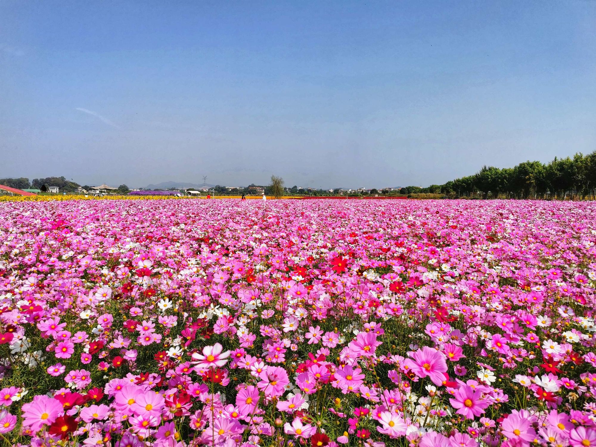 花妖传_蜀山传花妖