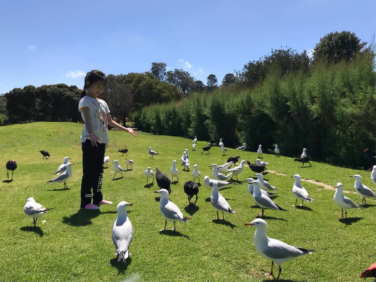 动物园大亨_动物园大亨水族馆_动物园大亨怎么赚钱