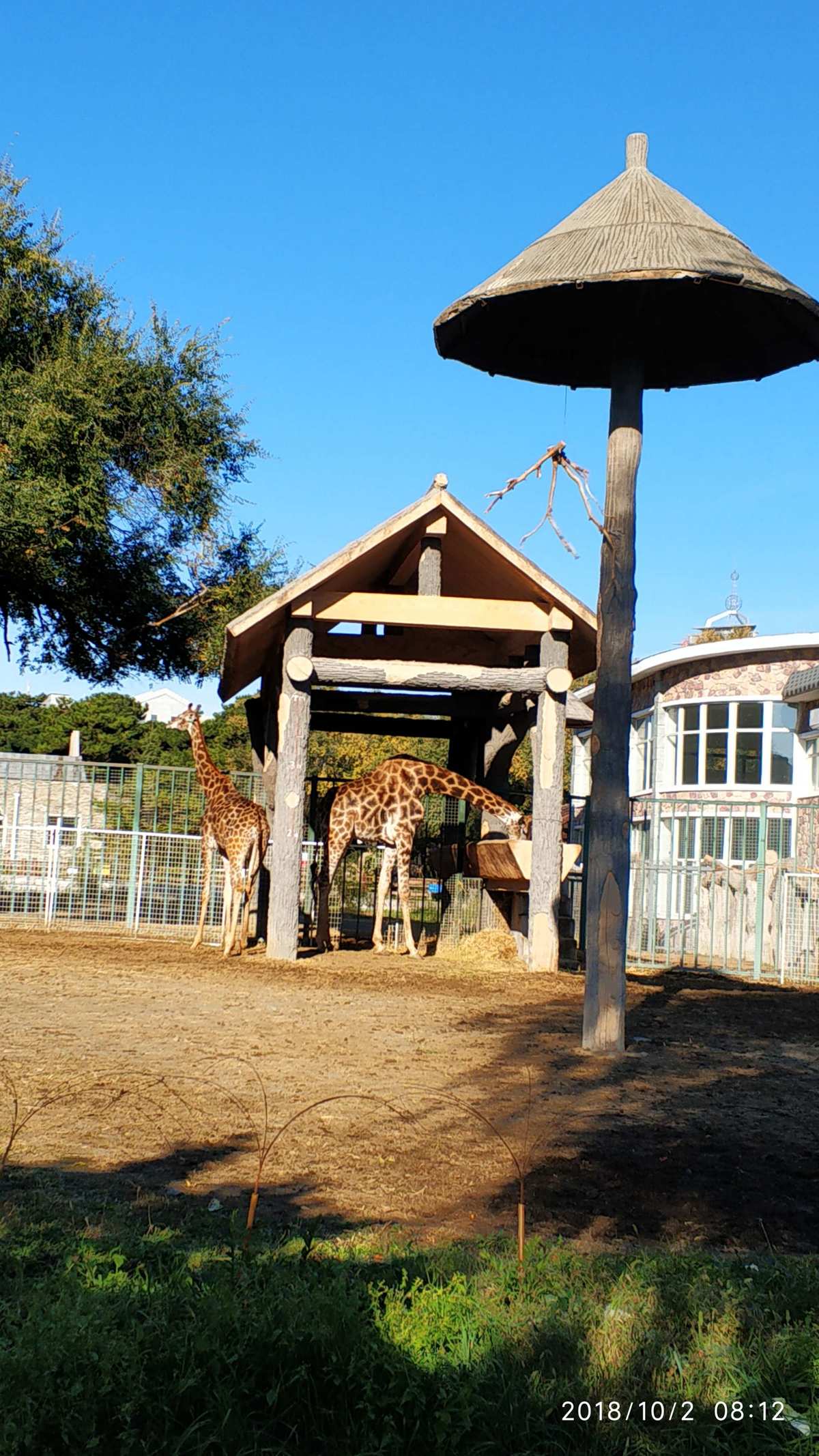 动物园大亨水族馆_动物园大亨_动物园大亨怎么赚钱