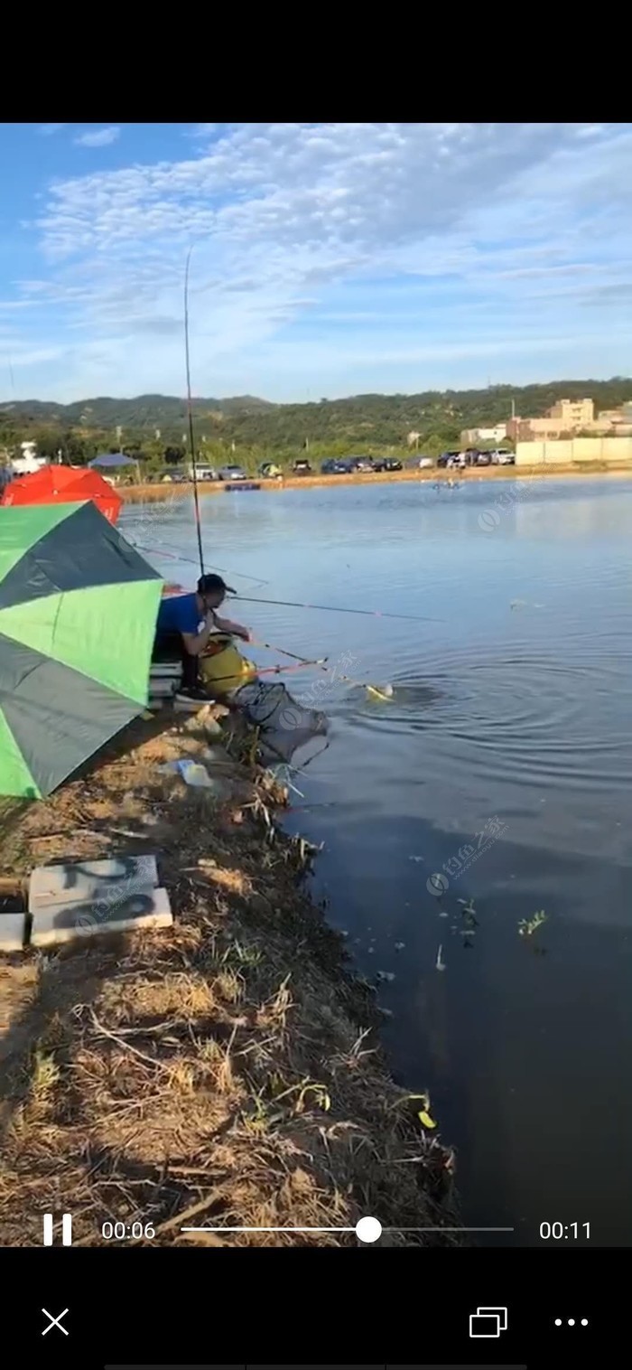 星露谷钓鱼技巧太难_星露谷难钓的鱼用什么钓具_星露谷钓鱼难度排序