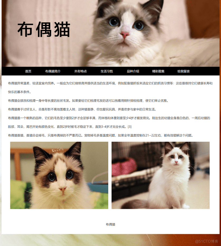 网页猫爪_快猫网页_网页猫里奥