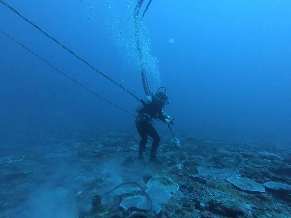 深海潜水游戏_潜水游戏_潜水游戏单机