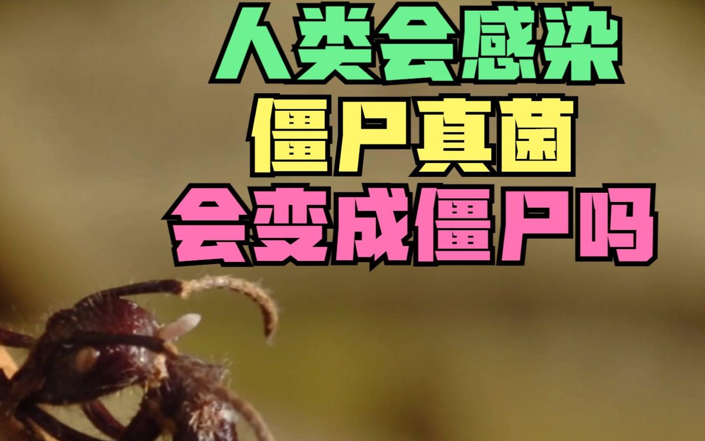 僵尸危险生物标志_危险僵尸_僵尸危险请勿模仿