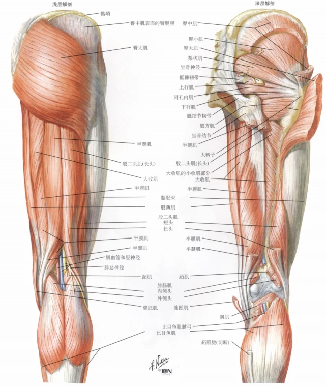 最强腿法教学_十大最强腿法_最强腿法回旋踢教学