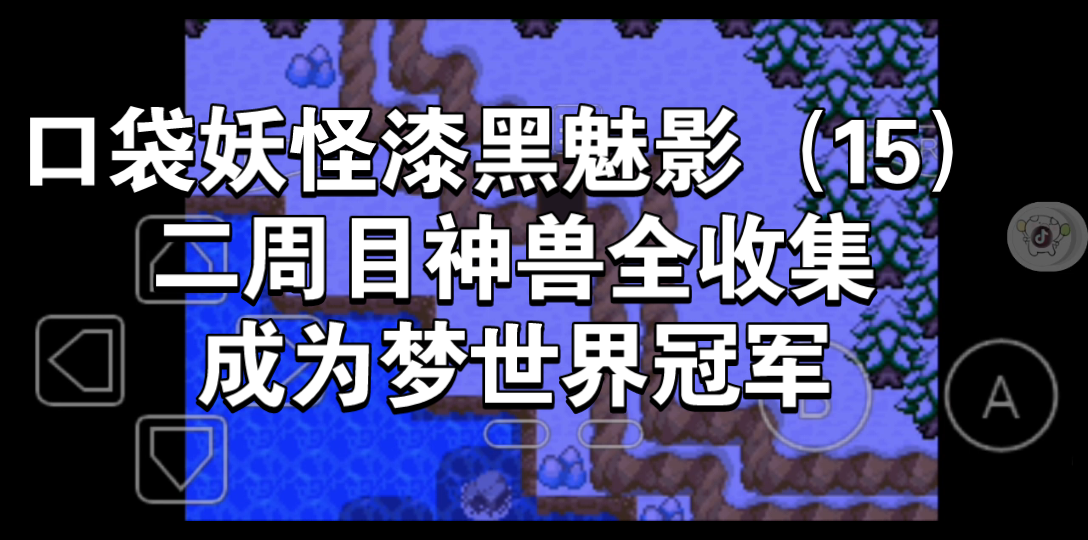 宝可梦漆黑的魅影_漆黑的魅影宝可梦不听话怎么办_漆黑的魅影宝可梦图鉴app