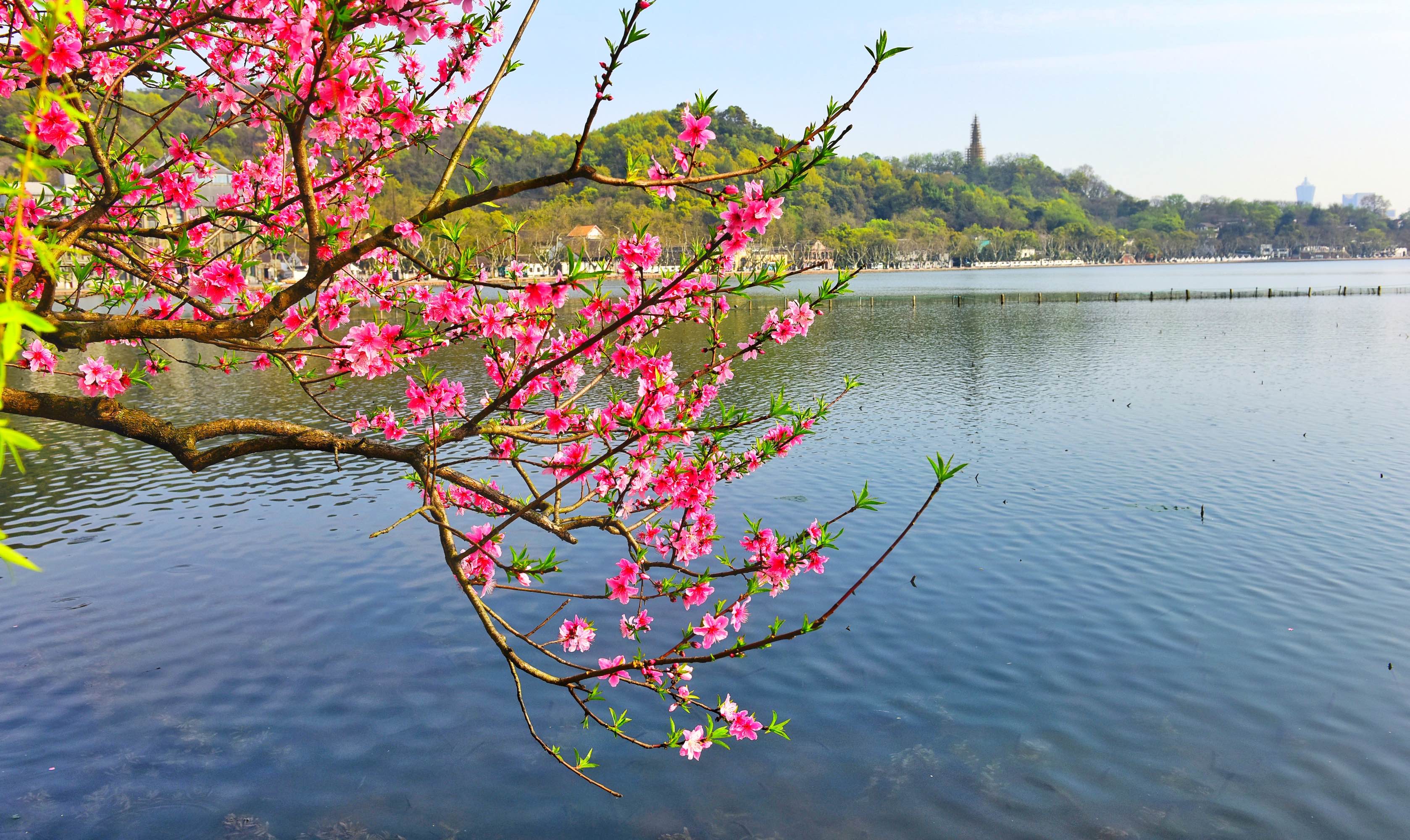 杭州西湖最值得玩的景点_春天去杭州西湖哪个景点好_春天去杭州欣赏西湖十景更适合游览