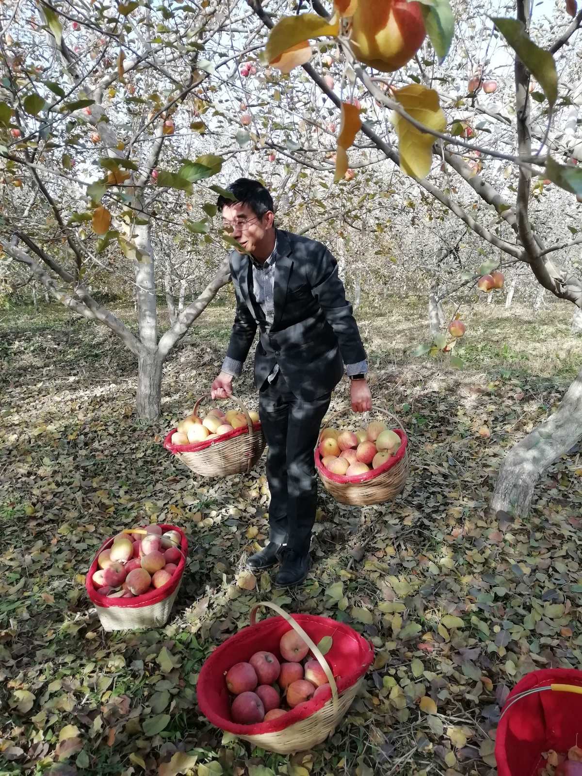 啃果虫_啃虫果在哪_啃虫果怎么进化