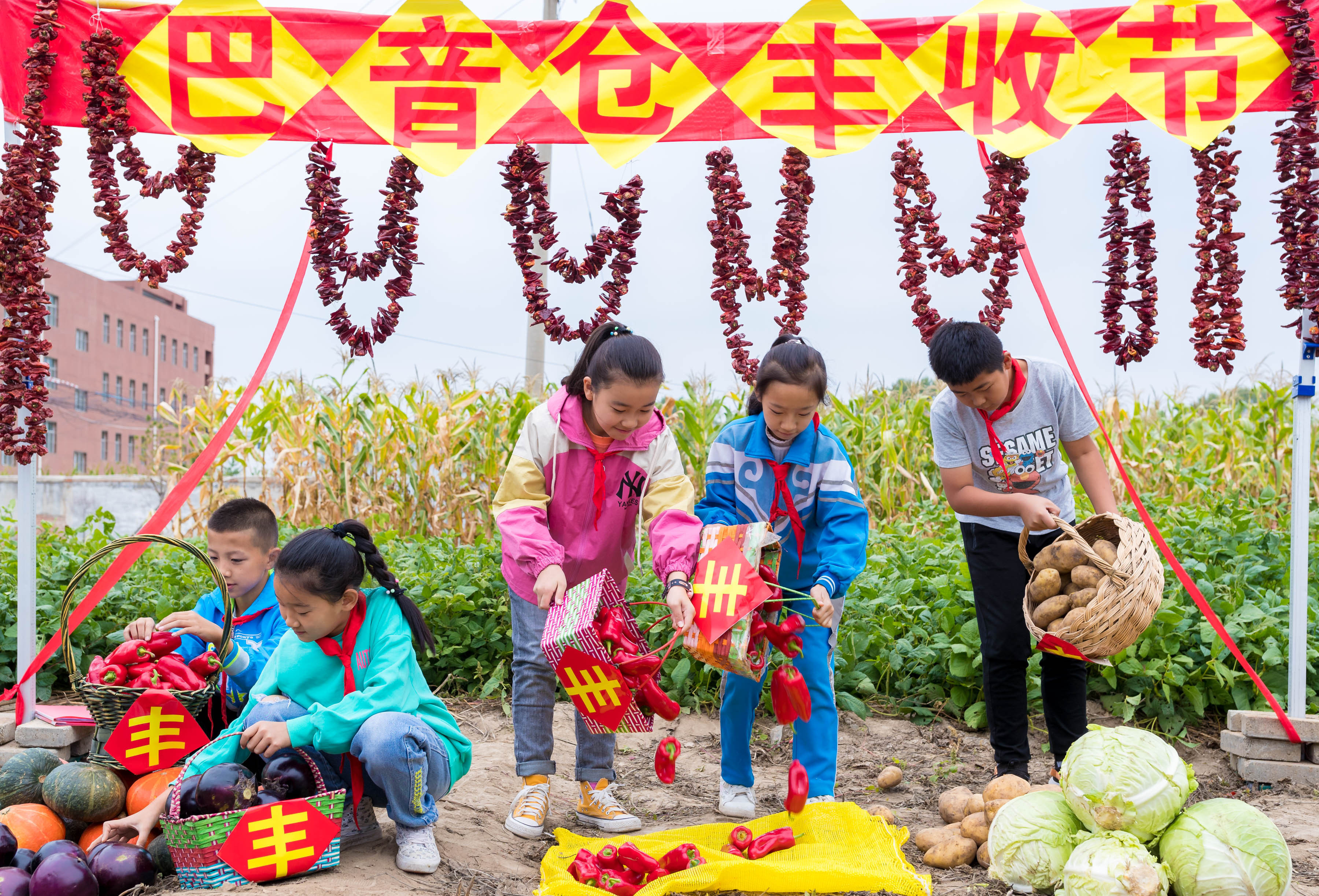 开心农场之农场小镇破解版_开心农场小游戏_农场开心农场游戏