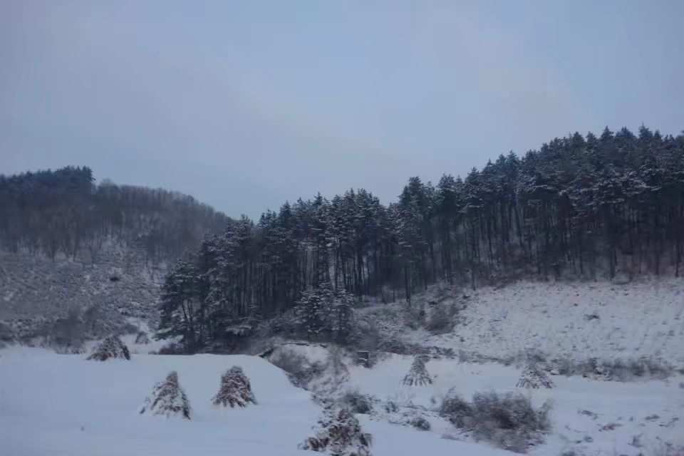 地下城堡图2攻略_城堡雪景图片_地下城堡3风雪山林攻略