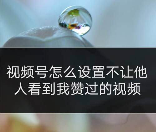 视频赞微信记录找到点号怎么找_微信视频号点赞记录在哪里找到_微信好友视频号点赞记录