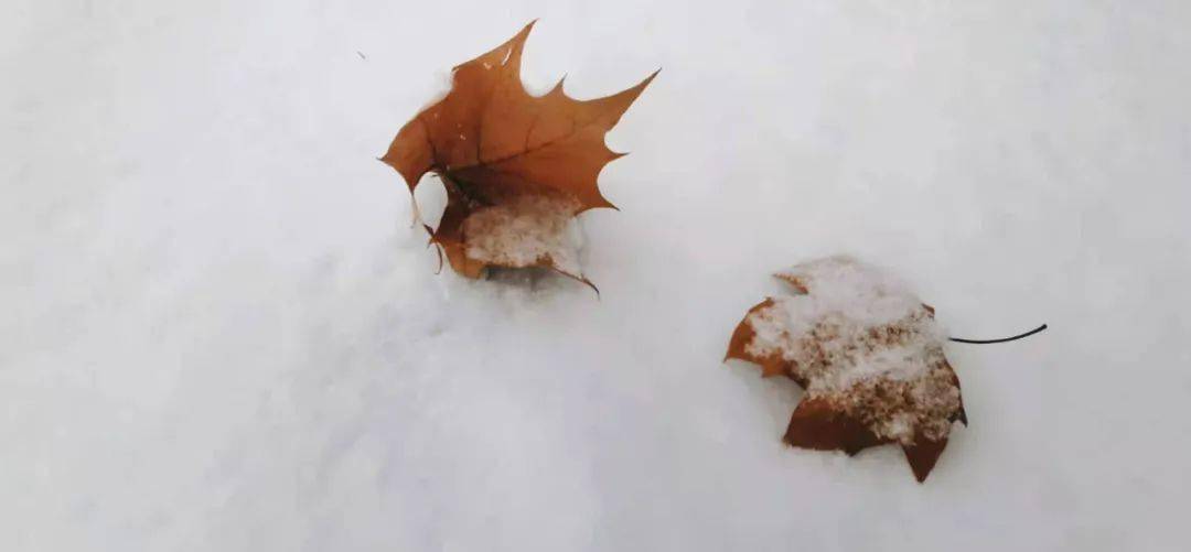 碧雪情天好玩吗_碧雪青天_碧雪情天