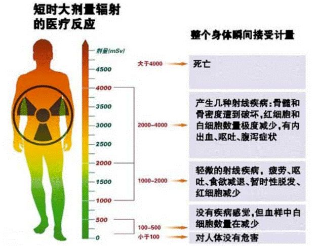 43dm神秘辐射：揭秘其真相