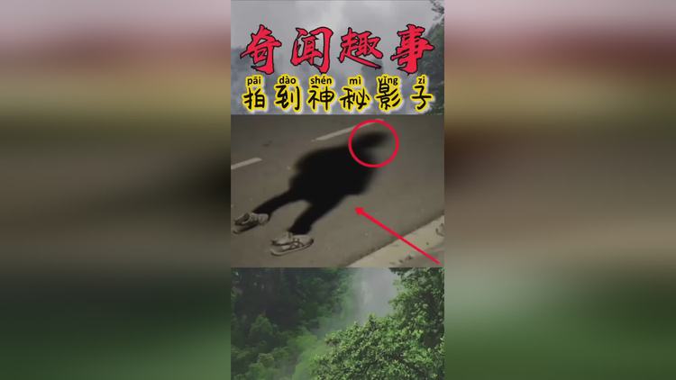 影子论坛邀请码_影子江湖论坛网站_影子论坛