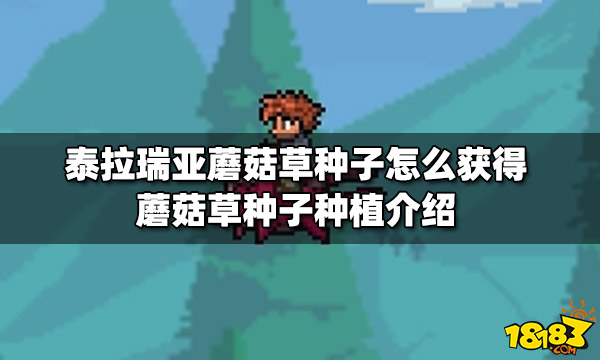 泰拉瑞亚种子terraria_泰拉瑞亚种子大全_1.4.2.3泰拉瑞亚种子