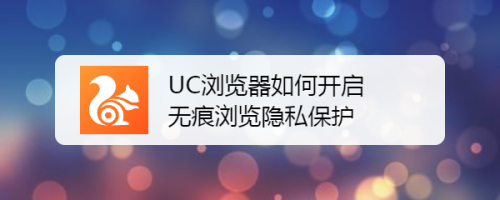 私密浏览器下载大全_下载成人私密浏览器安卓下载_下载成人安卓私密浏览器软件