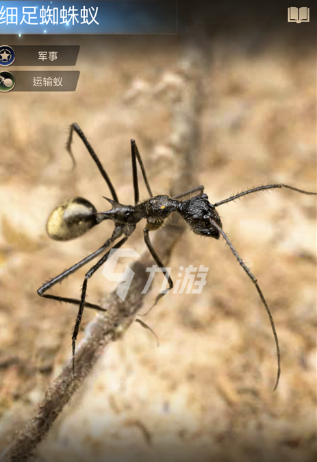 昆虫大战游戏_昆虫大战昆虫_昆虫大战