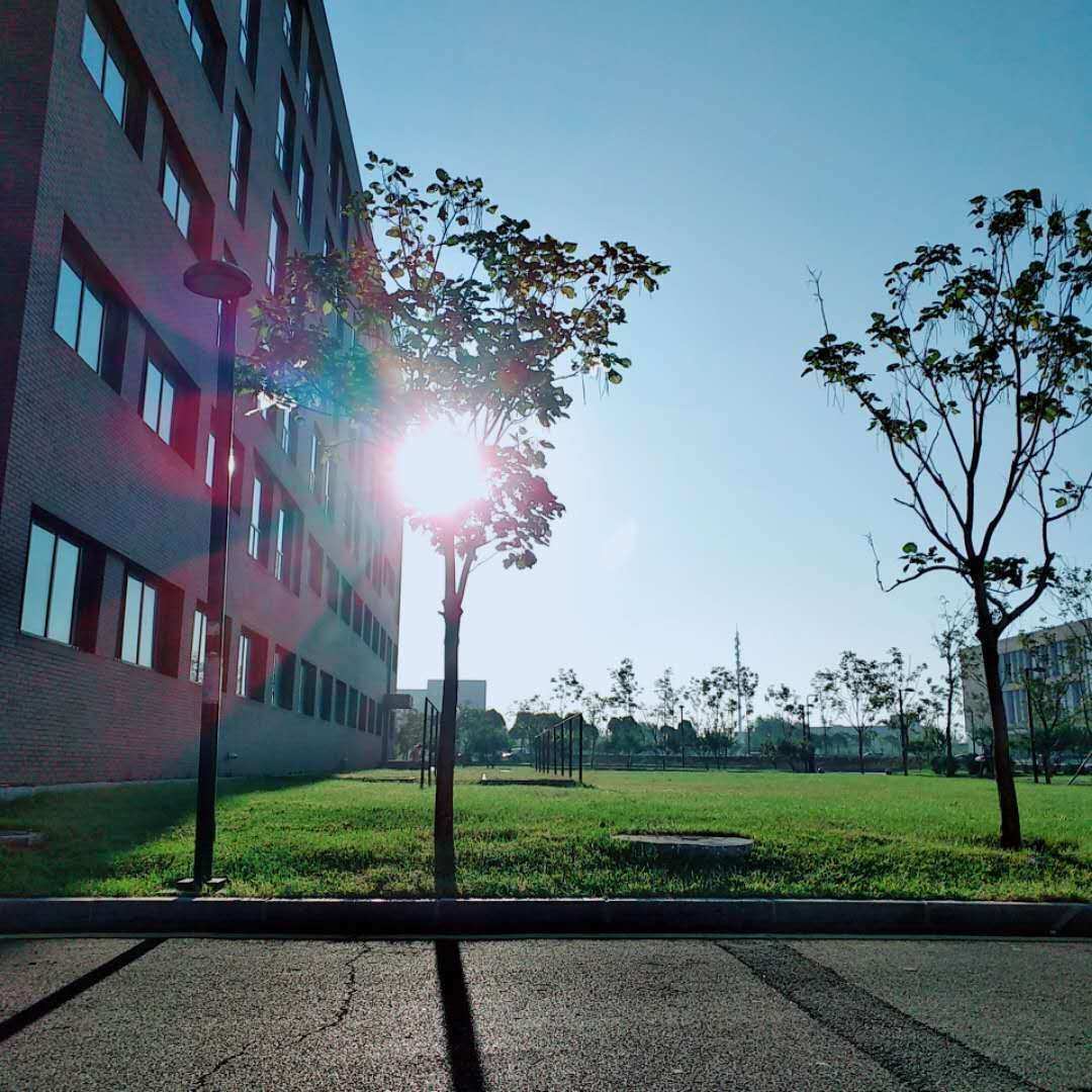 时光序_序时光年泰剧_时光序