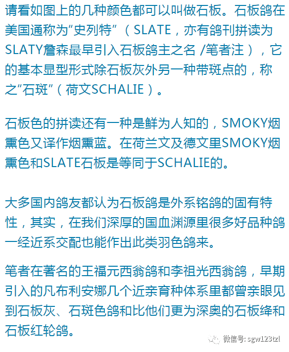 托特崇拜者之墓古老石板_胡夫之墓寻找古老石板_古老的石板