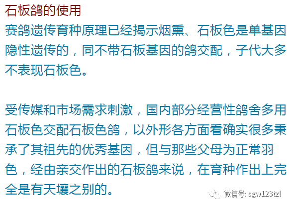 胡夫之墓寻找古老石板_古老的石板_托特崇拜者之墓古老石板