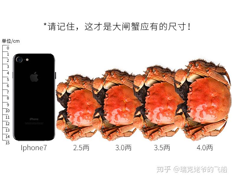 螃蟹交易平台官网_螃蟹官网交易平台真的坑_螃蟹官网交易平台提现