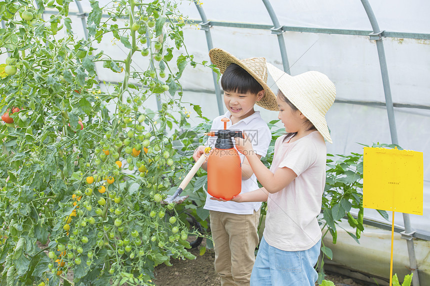 好玩教案版幼儿手机游戏有哪些_好玩教案版幼儿手机游戏怎么写_好玩的游戏幼儿手机版教案