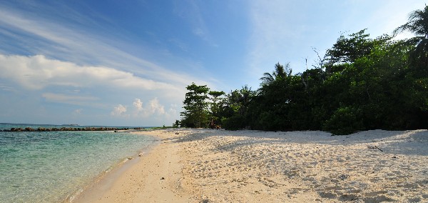 手游海岛生存游戏_海岛生活手机游戏_海岛手机生活游戏攻略