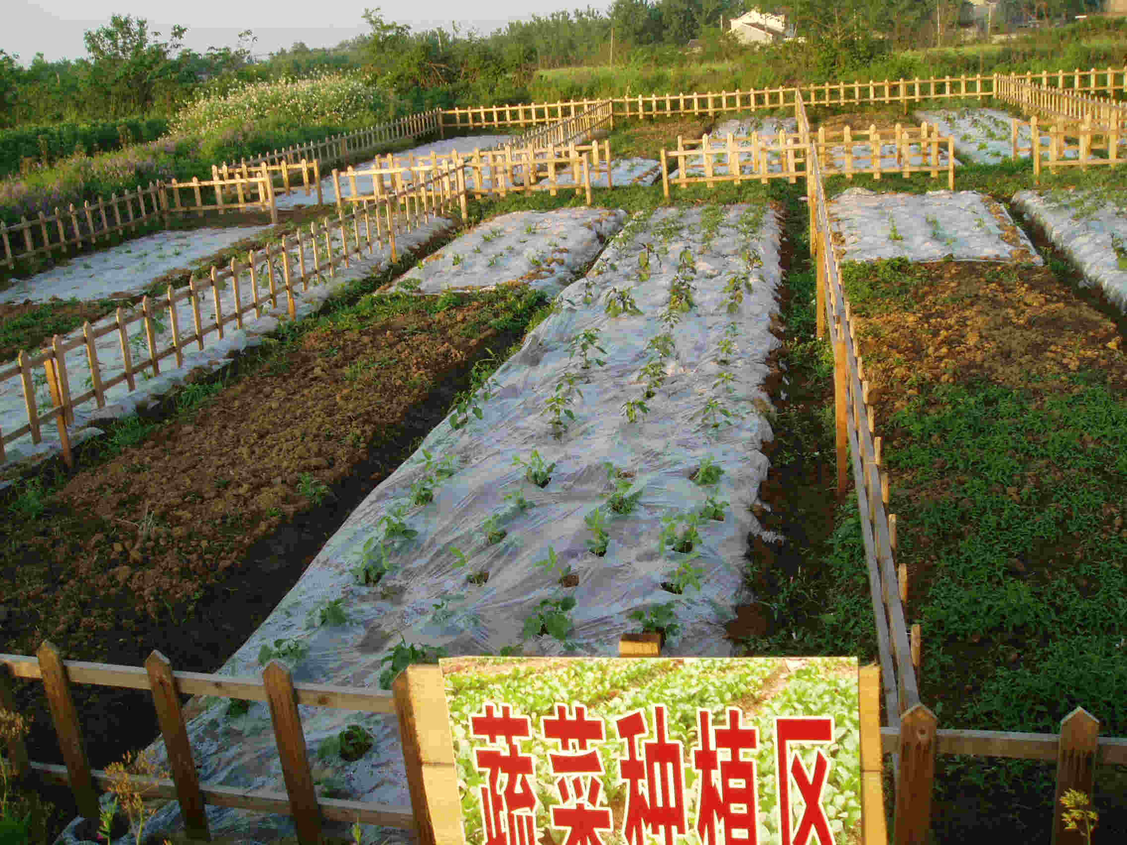 是莱姆农场_莱姆农场手机游戏_莱姆牧场下载安装