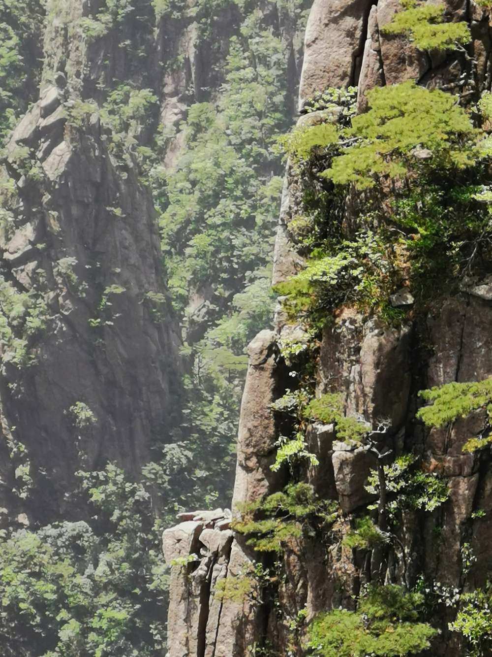 黄山推荐手机游戏店_黄山手机游戏推荐_黄山推荐手机游戏公司