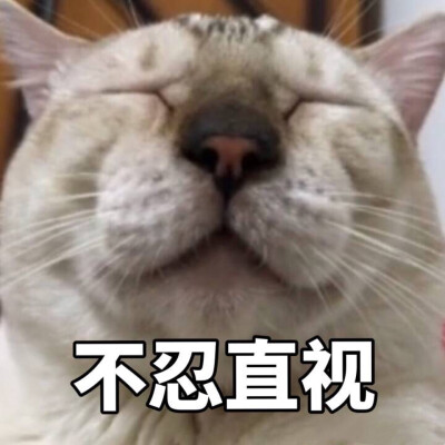 傻瓜猫配音_傻瓜猫冒险_傻瓜猫