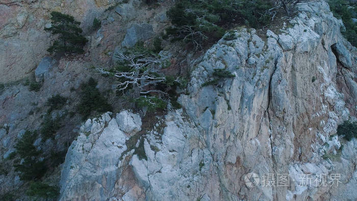 隆隆岩_岩茶属于什么茶_岩组词