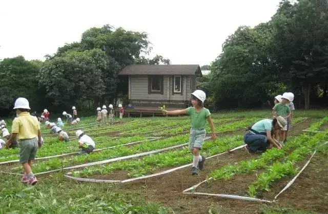 模拟农场的视频_视频解说农场模拟手机游戏_模拟农场手机游戏视频解说